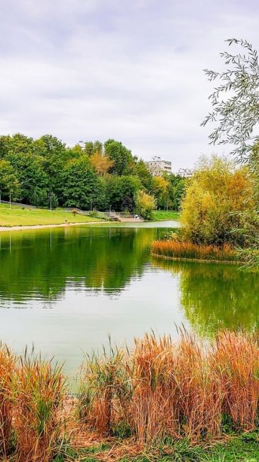 🍂Осенние акценты в парке Удальцовские..