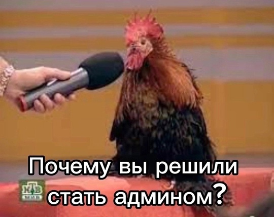 Уважаемые Балашихинцы, если вы слышите у себя в городе громкий рёв, от которого аж окна дребезжат,..