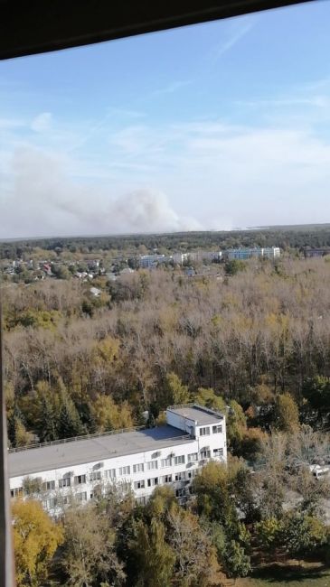 ⚡⚡⚡  В районе "Черной" замечен дым над лесом, как сообщают наши подписчики. Возможно, загорелся..