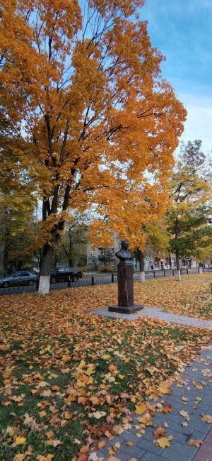 Доброго дня! 🍁🍂
Бабье лето заглянет в столичный регион на три дня. Научный руководитель Гидрометцентра..