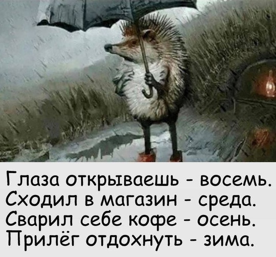 Утро доброе,..