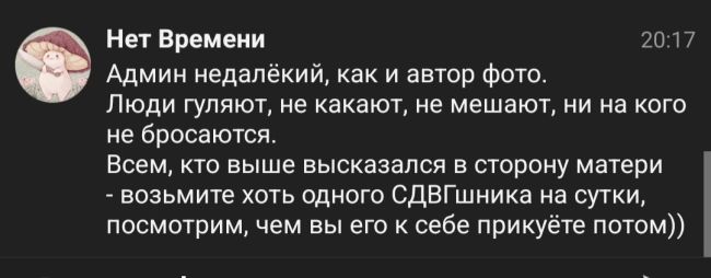 В парке Толстого детей выгуливают на поводке. Очередные..