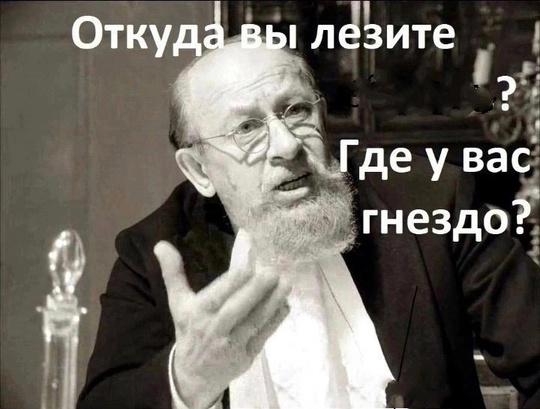 Ночью (приблизительно в 1.45 ) раздалось несколько хлопков на улице и вспышки. Я подскочила к окну. Оказывается..