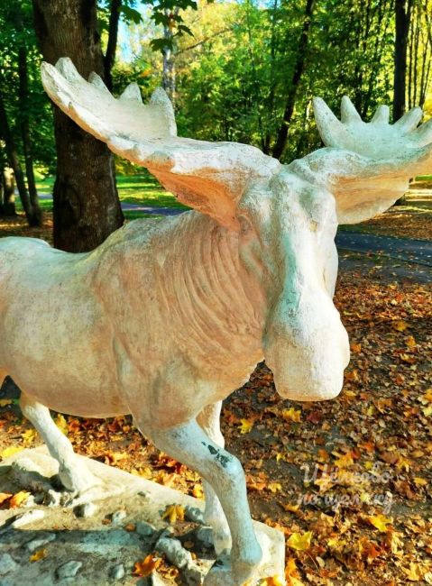 Осенний лось из парка🍂  Какая же чудесная погода..