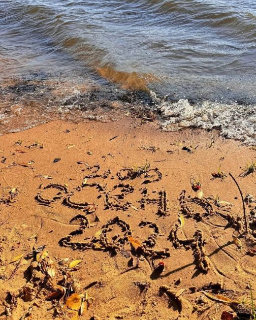 Осень на Истринском водохранилище..