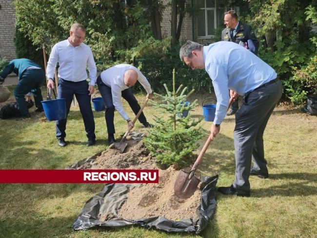 В Пушкино были высажены саженцы хвойных деревьев в честь юбилейной даты института лесоводства.  В..