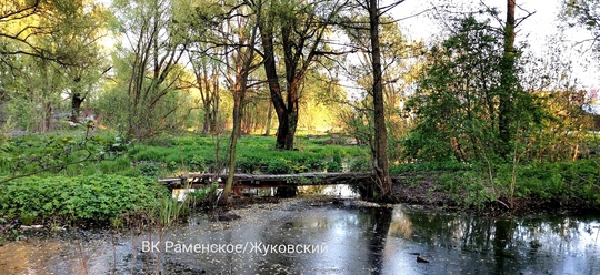 Суд подтвердил законность действия Минэкологии в отношении реки в Раменском округе  Московский областной..