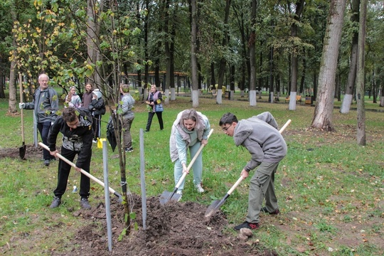 🌳 В минувшую субботу городской округ Коломна присоединился к Всероссийской экологической акции «Лес..