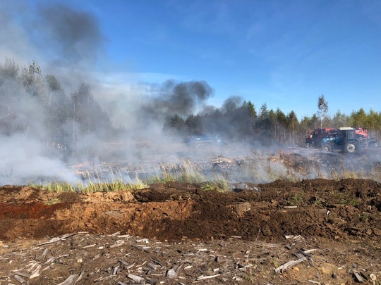 🔥 🌲 Больше трех часов тушили лесной пожар в Луховицах  23 сентября в Белоомутском участковом лесничестве, в..