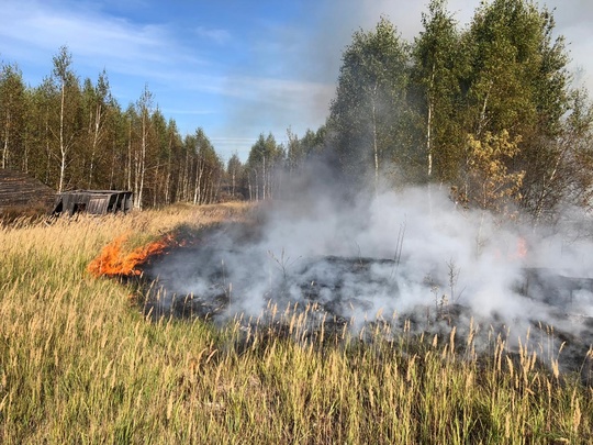 🔥 🌲 Больше трех часов тушили лесной пожар в Луховицах  23 сентября в Белоомутском участковом лесничестве, в..