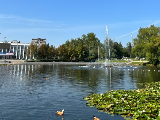 Августовская погода ожидается в Одинцово в выходные: синоптики обещают до +27 без осадков  Но летнее тепло..