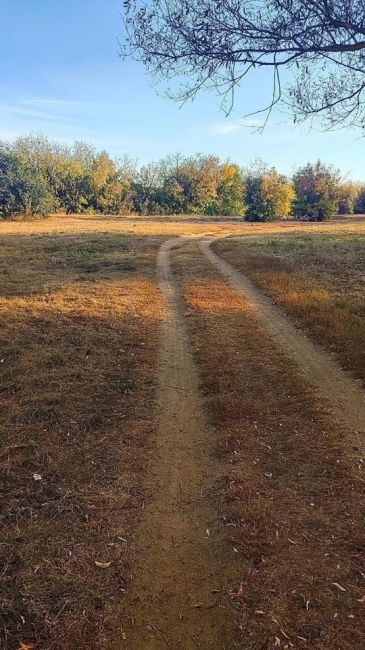 Орехово-Зуево в красках осени  📸 Оксана..