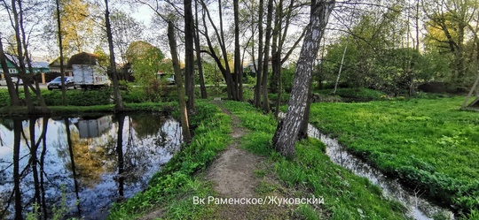 Суд подтвердил законность действия Минэкологии в отношении реки в Раменском округе  Московский областной..