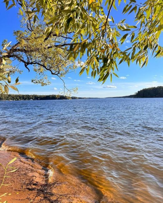 Осень на Истринском водохранилище..