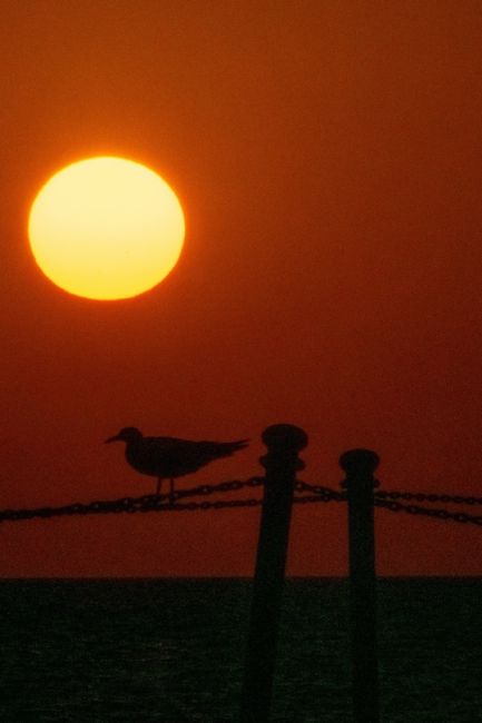 ПРИВЕТ С МОРЕЙ
Привет 👋🏻 с турецкого побережья))) 
Alanya Konaklı
Привет из Абхазии!
А вы были в этом году на..