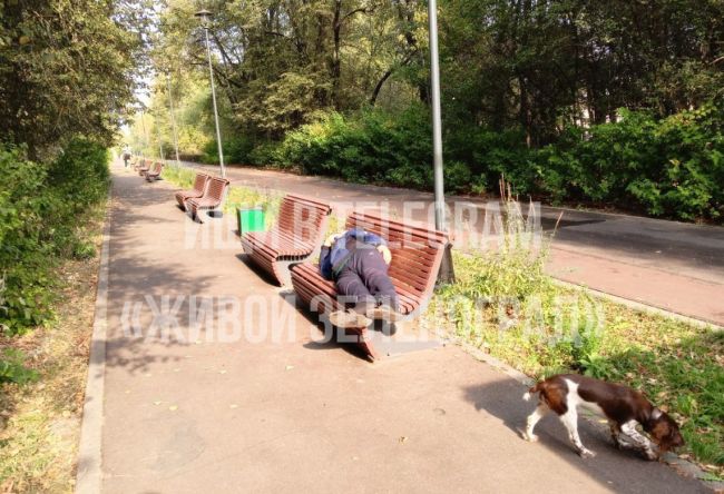 🍺Парк в Зеленограде, расположенный рядом с городским советом, начинает терять свою привлекательность...