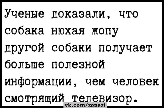 Русским предложили размножаться и создавать многодетные семьи с мигрантами  Учёные ФНИСЦ РАН сообщили, что..