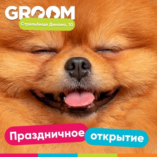 Бесплатно подстрижем когти 🐶, наклеим стразы💎, завяжем бантики🎀, вручим призы 🎁 и угостим вашего питомца..