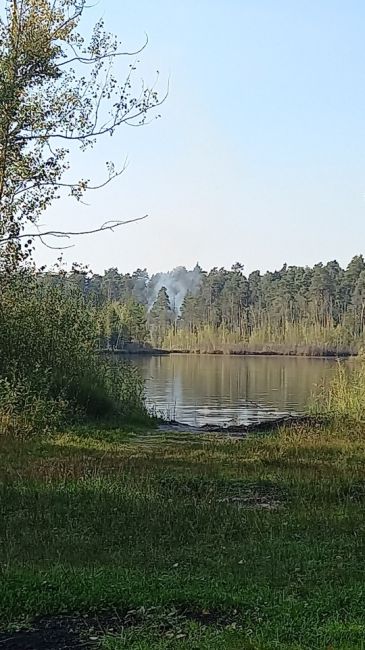 ЛЕСНОЙ ПОЖАР 🔥
Горит лес у озера Юшино, прямо напротив..