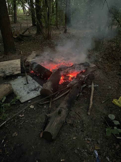 Кто-то развел в новом парке Высота (в районе завидная 1) костер и ушел!! Разгорелось до безумия. Сначала тушила..