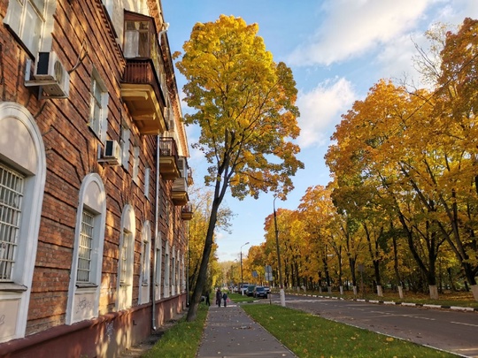 Доброго дня! 🍁🍂
Бабье лето заглянет в столичный регион на три дня. Научный руководитель Гидрометцентра..