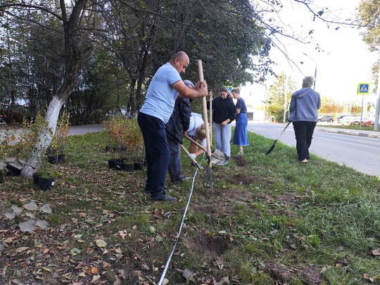 21.09.24. жители дома № 33 на улице Лихачевское шоссе провели очередной субботник по благоустройству двора, в..