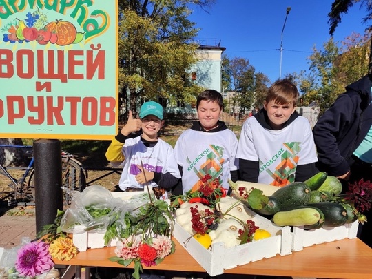 Фестиваль-конкурс даров природы «Урожай 2024» состоялся в городе Куровское.  Для гостей праздника осени..