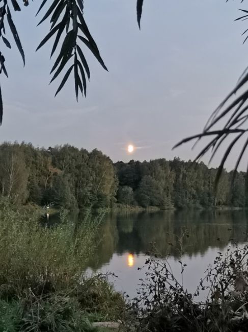 ДОБРЫЙ ВЕЧЕР ❤ БАЛАШИХА
Что хорошего у вас сегодня произошло? 
Поделитесь 🙂
Фото Анна..