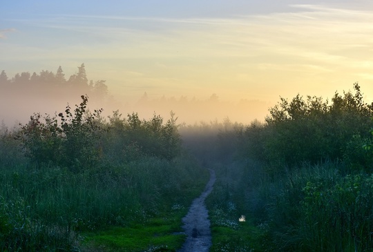 Наш любимый город ❤
📸[id9259927|Kirill..