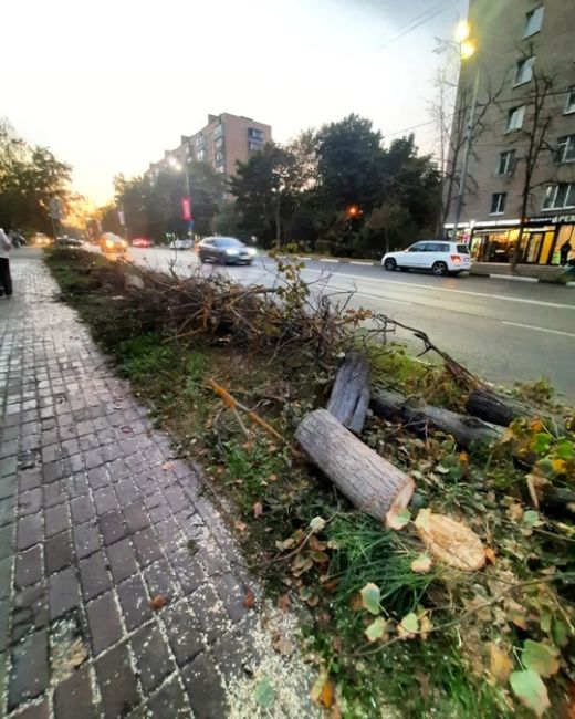 ДЕРЕВЬЯ БОЛЕЮТ И ПОГИБАЮТ 😓
Анонимно
Администрация города собирает деньги, выдает из бюджета на обработку..