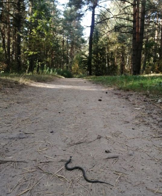 Воскресная прогулка 👟
С подругой..