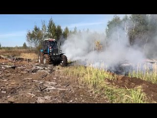 🔥 🌲 Больше трех часов тушили лесной пожар в Луховицах  23 сентября в Белоомутском участковом лесничестве, в..