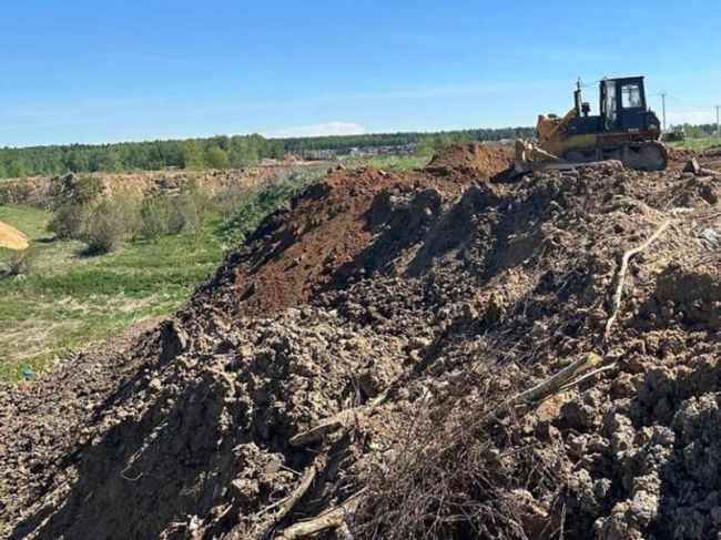 Нанесенный почвам в Пушкинском округе вред взыщут с организаторов незаконной..