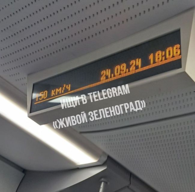 🚉Наши электрички — настоящие труженицы!  Быстрее них только самолёты и поезда «Сапсан».  ТГК Живой..