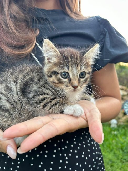 Новую игровую площадку установили на улице Матросова в..