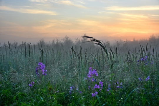 Наш любимый город ❤
📸[id9259927|Kirill..