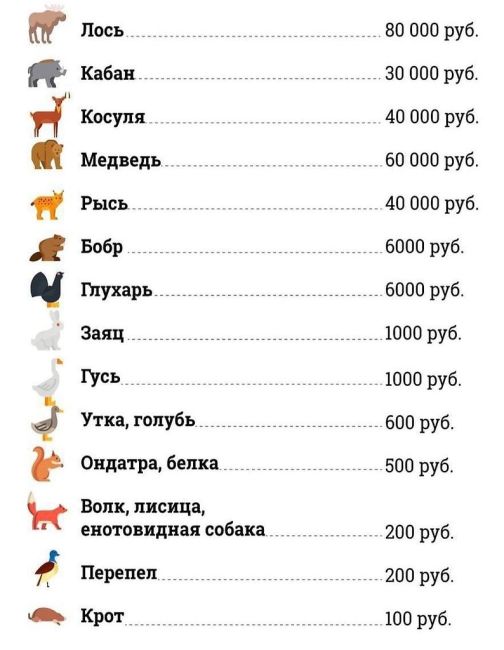 Сбит лось на трассе между Сергиевым Посадом и Дмитровым, недалеко от Федоровское.  Водитель жив, оказали ему..