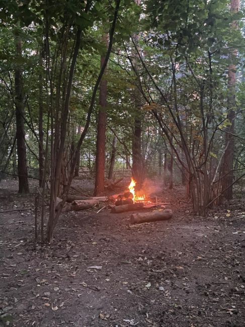 Кто-то развел в новом парке Высота (в районе завидная 1) костер и ушел!! Разгорелось до безумия. Сначала тушила..