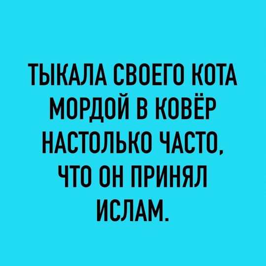 Обычный двор в Балашихе  Мусульмане открыли мечеть в жилом доме и теперь двор похож на..