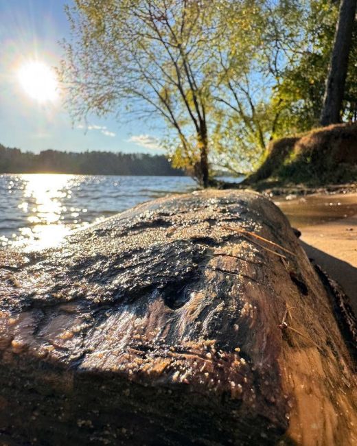 Осень на Истринском водохранилище..