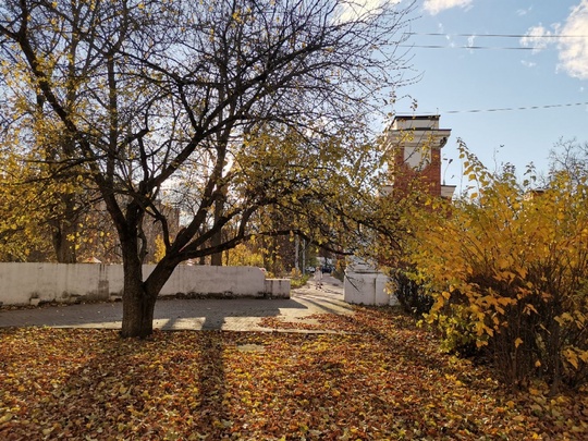 Доброго дня! 🍁🍂
Бабье лето заглянет в столичный регион на три дня. Научный руководитель Гидрометцентра..