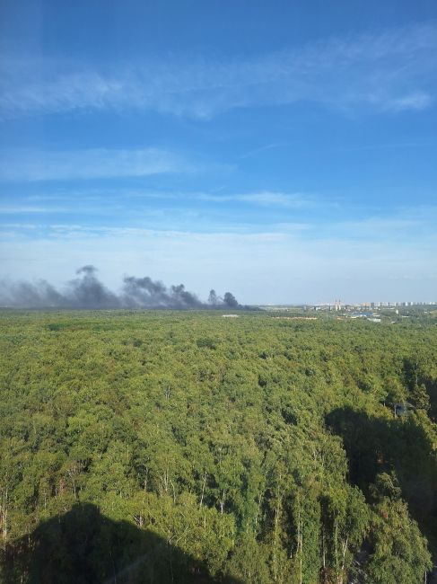 ⚡В Видном начался пожар на коксогазовом заводе 
Дым идет в сторону южных окраин Москвы. На место ЧП едут..