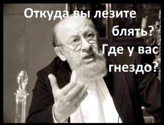 Сенаторов возбудили школьники, скачущие в парках на четвереньках  Так как все остальные проблемы страны..