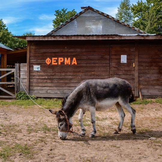 🌿 Школьные каникулы в экоотеле [club19432674|ВКС-Кантри]: отдых, о котором мечтают родители и дети! 🌿  Школьные..