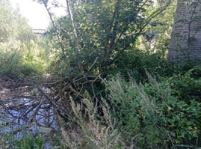 💥 В деревне Жилино сточные воды с канализационной насосной станции полились на землю. Да так, что..