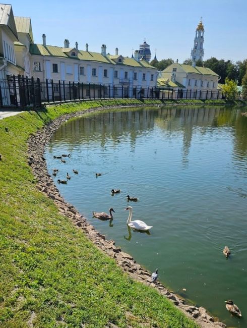 Фоточат, кидайте в комментарии последние фотографии, которые сделали на..