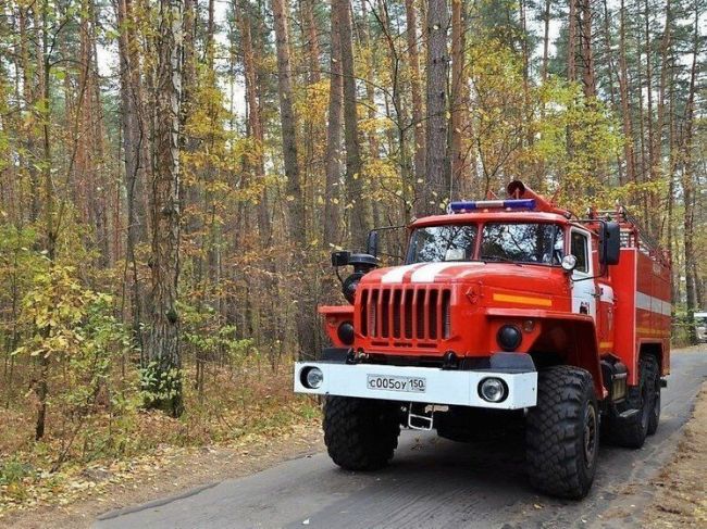 МЧС обращается к жителям Подмосковья с просьбой не сжигать опавшие листья  МЧС обращается к жителям..