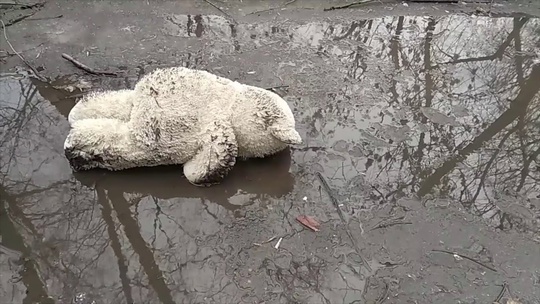 «Прошла любовь, завяли помидоры…» 🥲  Ул.Молодежная,..