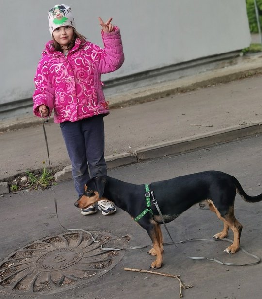 ПРОПАЛА СОБАКА
3-я Балашиха, пр. Ленина 52 сорвалась с поводка и убежала около 18.00 вечера.
Просьба, кто видел..