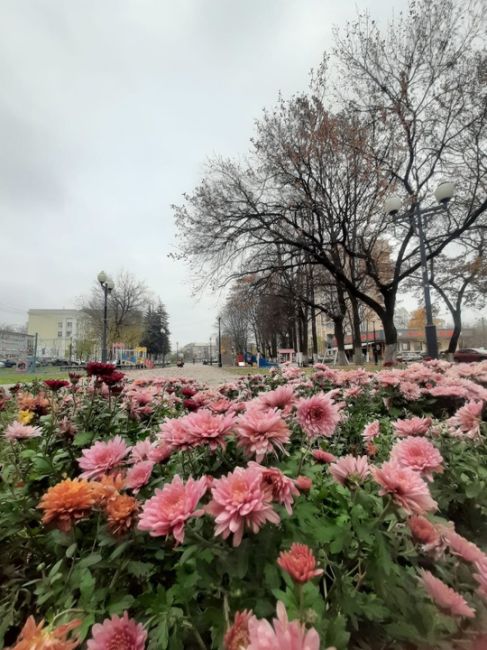 ОСЕННИЙ ДЕНЬ 🍁 В..